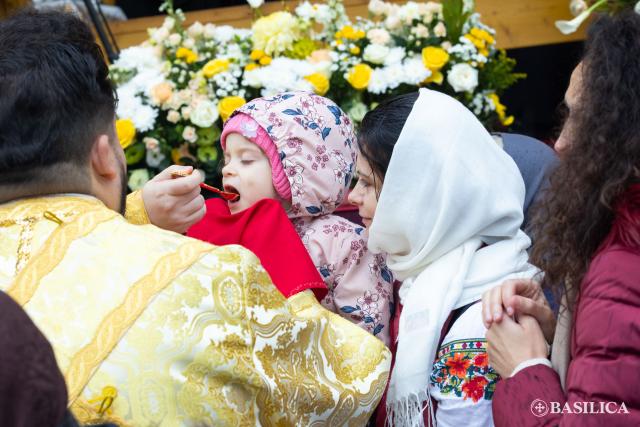 Sfânta Liturghie din ziua de prăznuire a Sfântului Dimitrie cel Nou