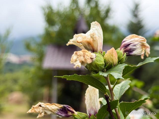 Mănăstirea Akthala din Armenia, renumită pentru frescele sale bizantine unice
