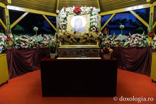 Moaștele Sfintei Cuvioase Mucenițe Evloghia de la Samurcășești au fost așezate în biserica mare a mănăstirii