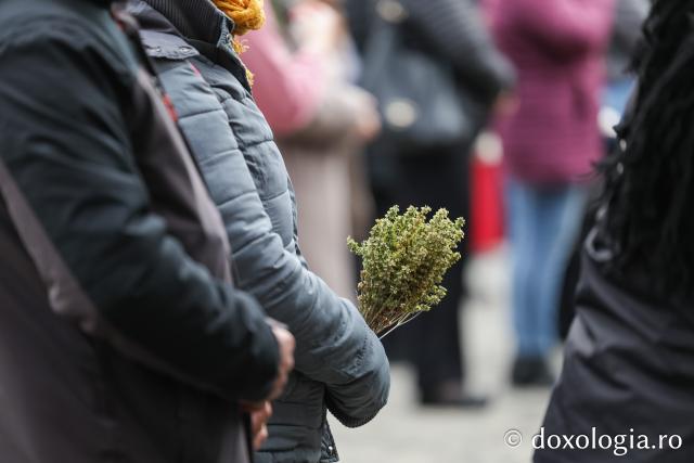 Rugăciune care curăță, lumină care unește – pelerini, alături de Sfânta Parascheva și de Sfântul Paisie de la Sihăstria