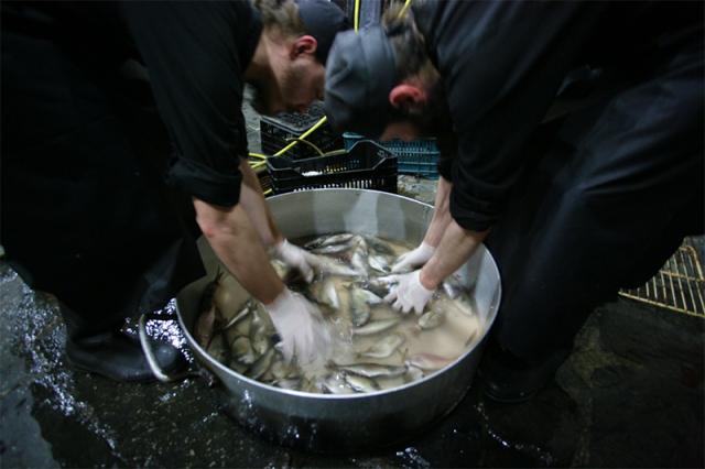 (Foto) Pregătiri pentru o supă de pește la Mănăstirea Vatoped