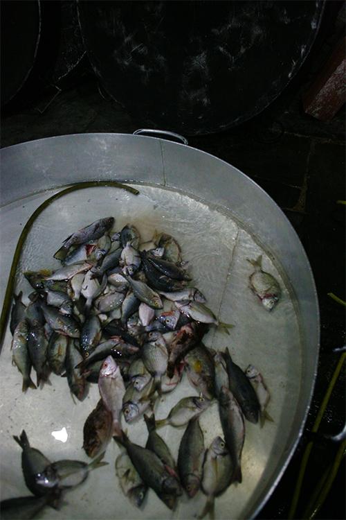 (Foto) Pregătiri pentru o supă de pește la Mănăstirea Vatoped