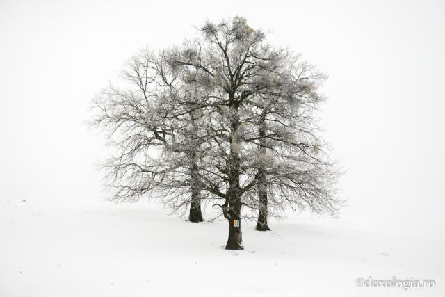 Peisaj de iarnă la Hadâmbu - (galerie FOTO)