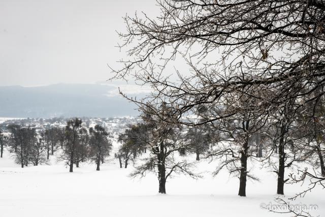 Peisaj de iarnă la Hadâmbu - (galerie FOTO)