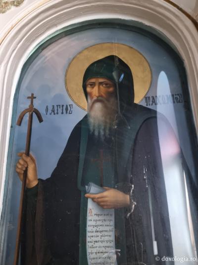 Sfântul Cuvios Pahomie din Chios Sfântul Cuvios Pahomie din Chios