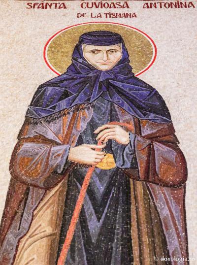 Sfânta Cuvioasă Antonina de la Tismana