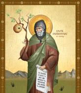 Sfântul Ierarh Modomnoc, Episcop de Ossory