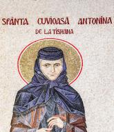 Sfânta Cuvioasă Antonina de la Tismana