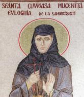 Sfânta Cuvioasă Muceniță Evloghia de la Samurcășești