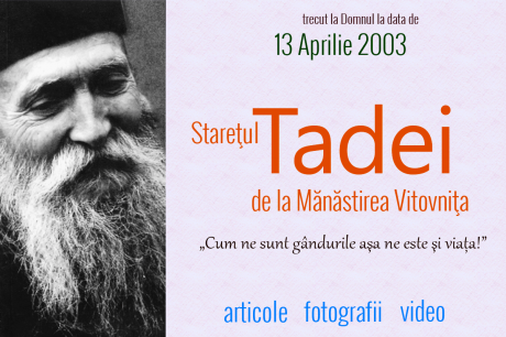 Starețul Tadei de la Mănăstirea Vitovnița