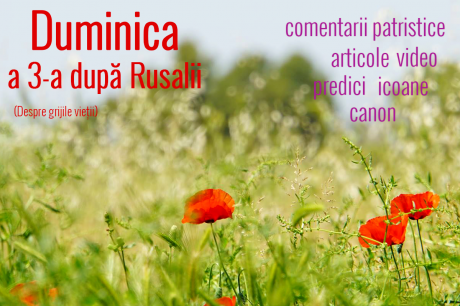 Duminica a 3-a după Rusalii (Despre grijile vieții)