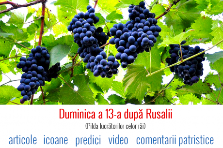 Duminica a 13-a după Rusalii (Pilda lucrătorilor celor răi)