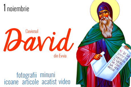 Sfântul Cuvios David din Evia Sfântul Cuvios David din Evia