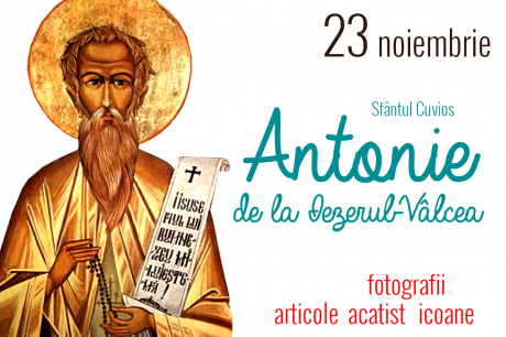 Sfântul Cuvios Antonie de la Iezerul Vâlcii