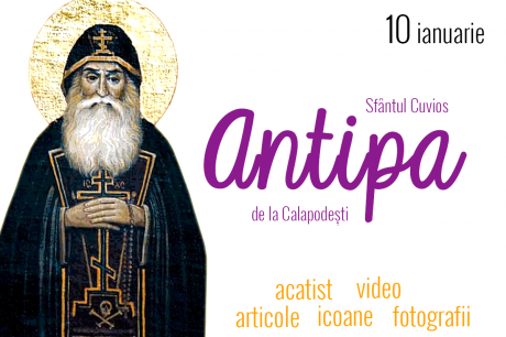 Sfântul Cuvios Antipa de la Calapodești