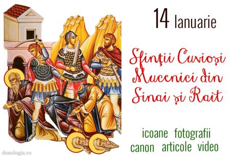 Sfinții Cuvioși Mucenici din Sinai și Rait