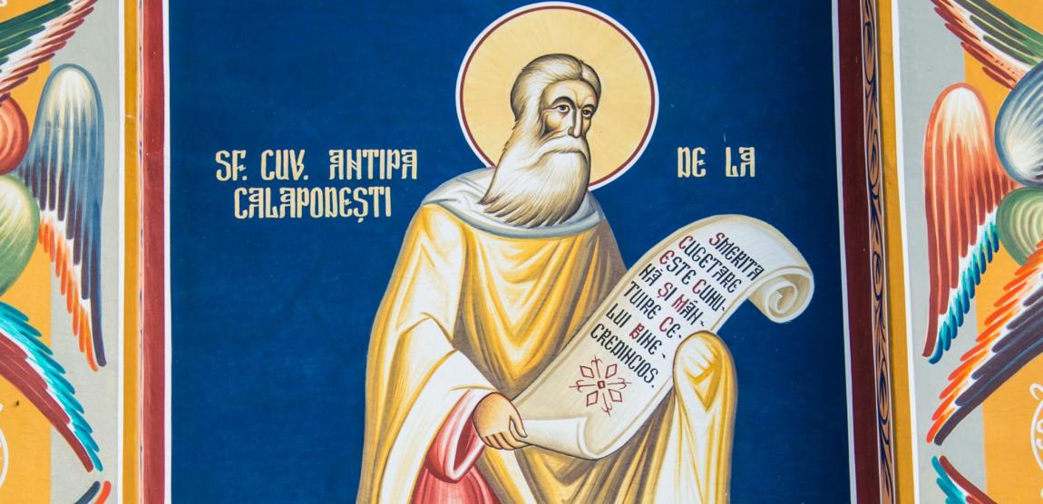 Sfântul Cuvios Antipa de la Calapodești