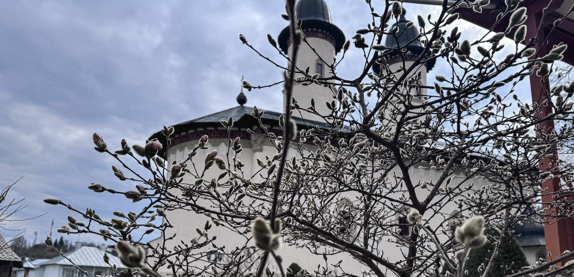 Maica Fotinia și lecția florilor de la Văratec – „Oamenii au țepi mai greu de rupt”