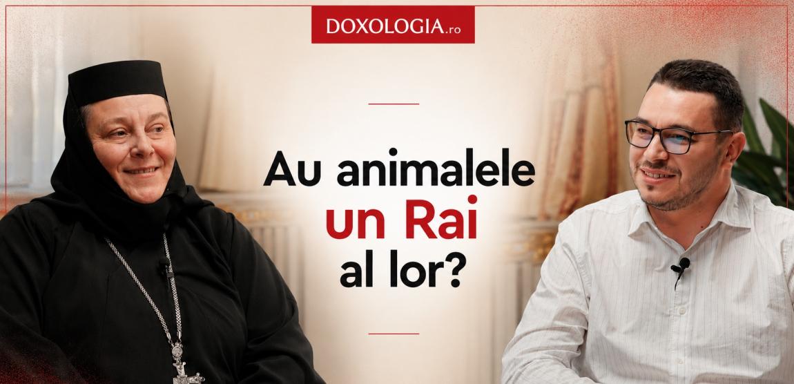 În dialog cu M. Doroteea, stareța-chirurg