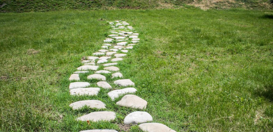 cărare în natură