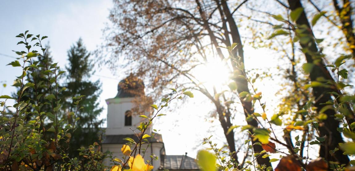 Biserica Sf. Voievozi Roșca Iași
