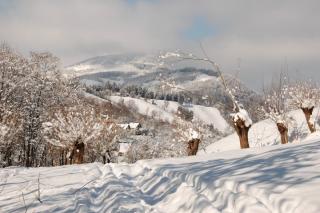 Unde sunt, Doamne, zăpezile de altădată?