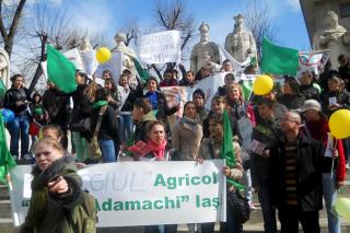 „Contează ce şi cum visezi!“: Proiect de prevenire a consumului de droguri în rândul elevilor