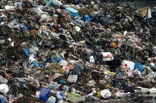 Avocaţii pământului pubelă şi dimesiunea ascetică a ecologiei
