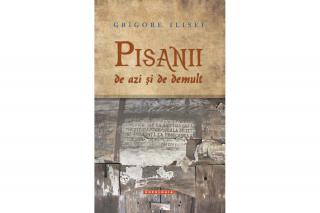 Pisaniile nepereche ale lui Grigore Ilisei