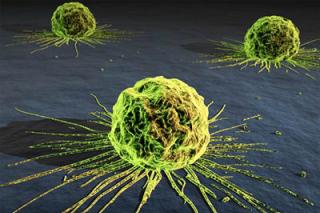 Un ateu L-a găsit pe Dumnezeu în suferinţa cancerului