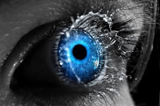 Omul – filtru al universului