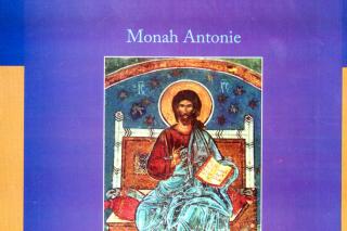 Biblia împotriva Protestantismului