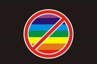 Homosexualitatea, o discriminare la adresa copilului