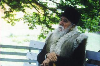 Poate se va folosi vreunul