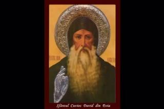 (Video) Sfântul Cuvios David din Evia