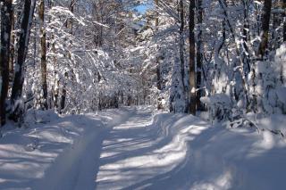 Începând cu weekend-ul următor, va ninge în toată țara