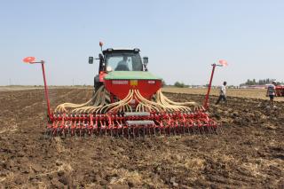 Se preconizează culturi agricole mai bune în 2014