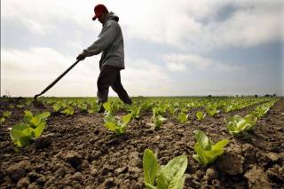 Săptămâna viitoare rezervele de apă din solul agricol vor fi aproape de optim