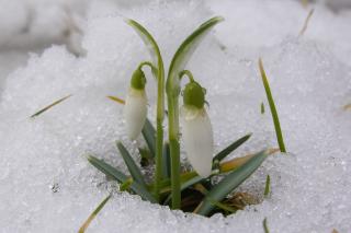 ANM anunță temperaturi de până la 16 grade Celsius în următoarele 2 săptămâni