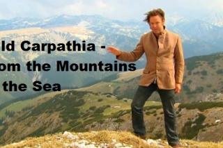 "Wild Carpathia – From the Mountains to the Sea", proiectat la ICR Budapesta