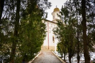 Biserica Sfinții Teodori din Iași