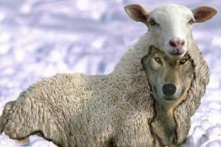 Falşi hristoşi s-au ridicat şi dintre samarineni