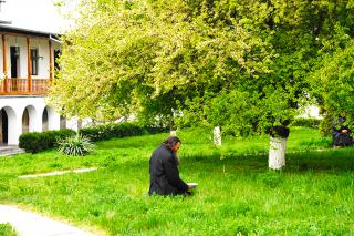 Simţi o bucurie de nedescris dacă frumuseţea naturii este însoţită de o stare duhovnicească sublimă!