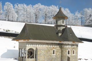 Sfântul Cuvios Daniil Sihastrul, cinstit în Moldova