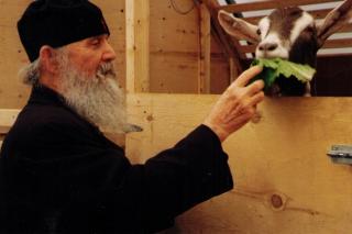 Ucenicii lui Gheron Iosif Isihastul – Părintele Efrem Filotheitul (21)