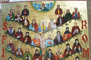 Viața Sfântului Ierarh Nichita Mărturisitorul, Episcopul Apoloniadei
