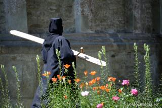 Ascultarea este rânduială dumnezeiască