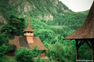 Ortodoxia – religia libertății absolute a omului