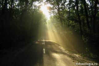 Învață să cauți lumina în întunericul acestei lumi