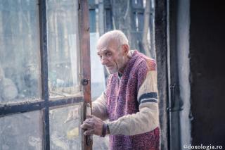 bătrân